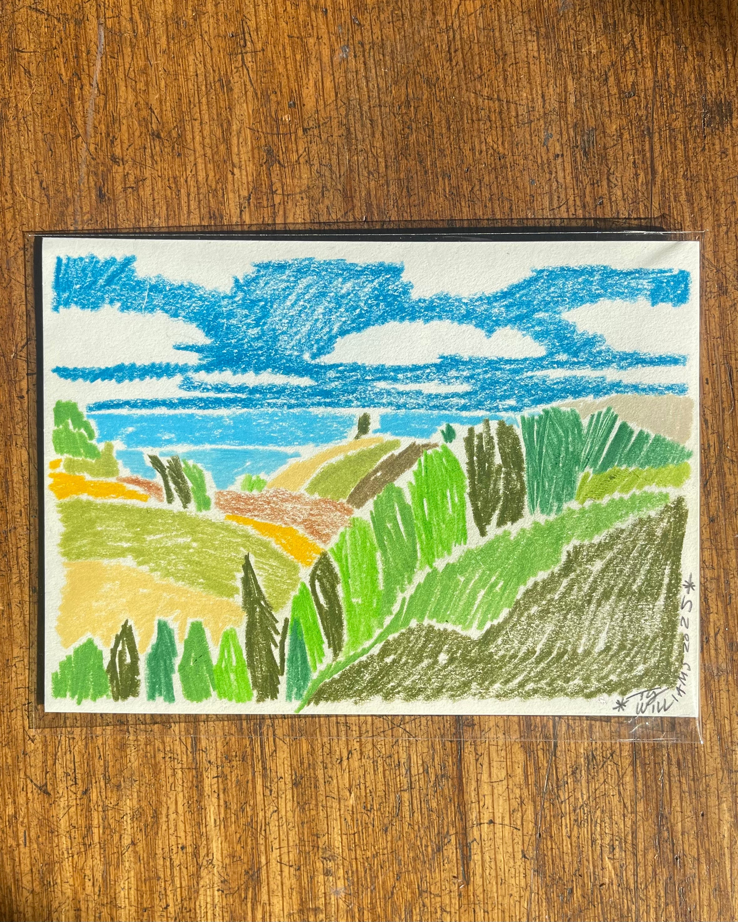 Original Pencil Drawings