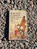Vintage Reads